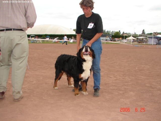 Andgel Du ruisseau de facegorras - 1ERE EXC RCACS classe intermédiaire