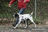 - NATIONALE D'ELEVAGE EN ARIEGE