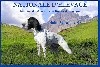 - NATIONALE D'ELEVAGE EN ARIEGE