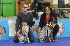 - Paris Dog Show