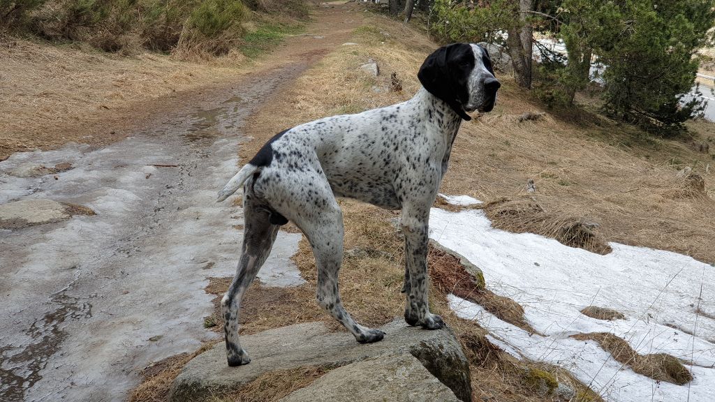 Publication : du ruisseau de Montbrun