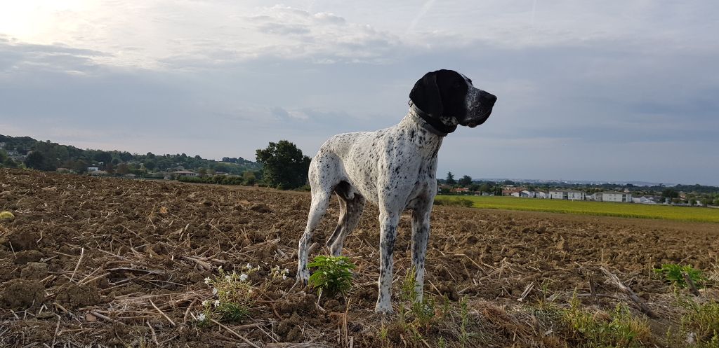 Publication : du ruisseau de Montbrun