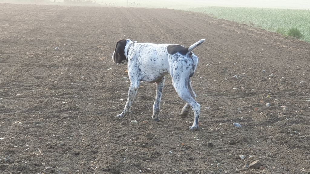 Publication : du ruisseau de Montbrun