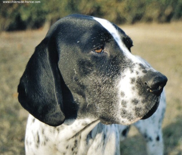 Publication : du ruisseau de Montbrun