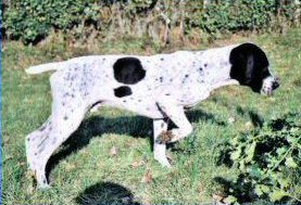 Publication : du ruisseau de Montbrun