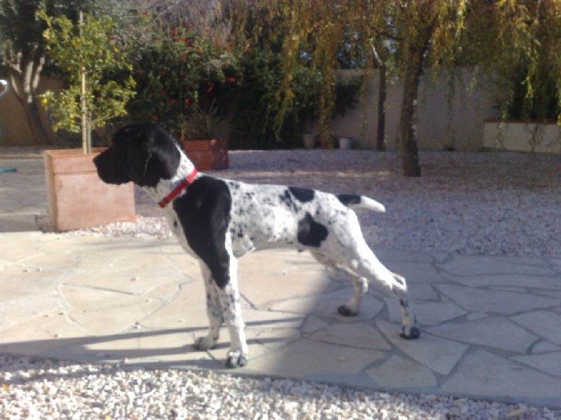 Folk du ruisseau de Montbrun - 2ème Excellent