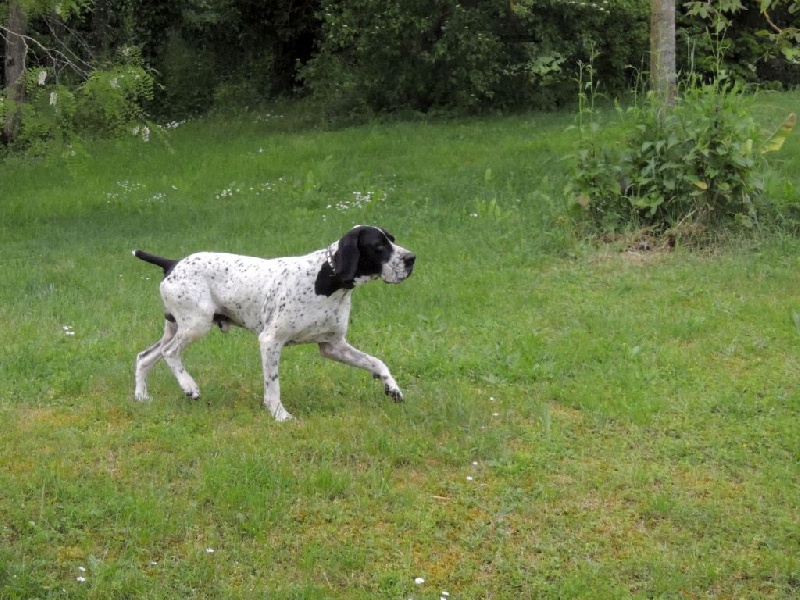 Einstein du ruisseau de Montbrun - 5ème Exc