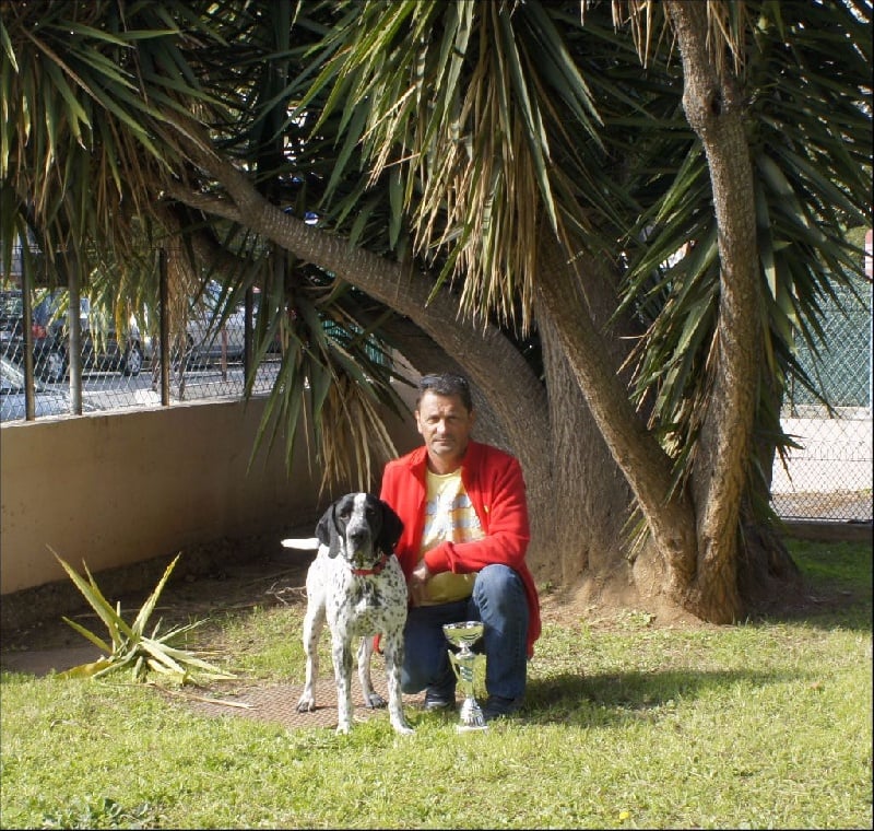 CH. Jude du ruisseau de Montbrun - CACS BOB