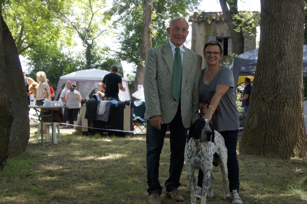 CH. Jude du ruisseau de Montbrun - CACS MR BOB