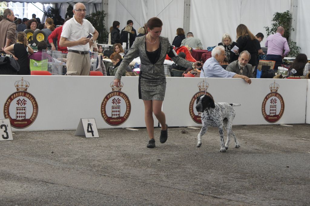 CH. Jude du ruisseau de Montbrun - CACS MR