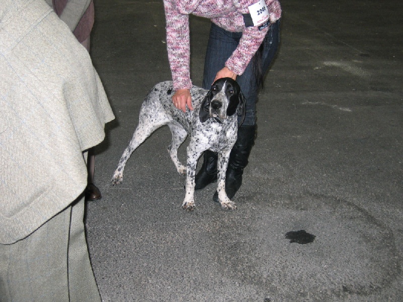 Evea du ruisseau de Montbrun - Très Prometteur