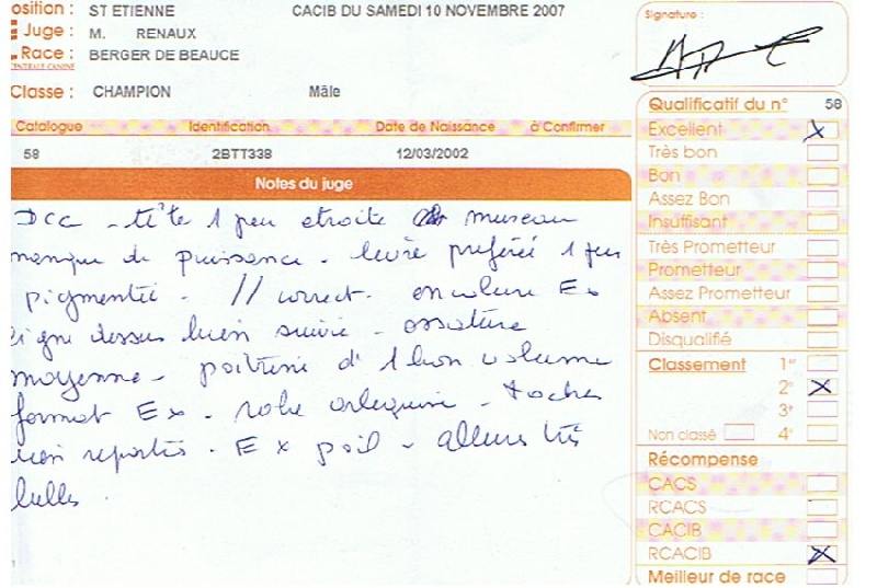 CH. Tam tam blue De la noé du jardin - 2e EXC RCACIB Cl. CHAMPION