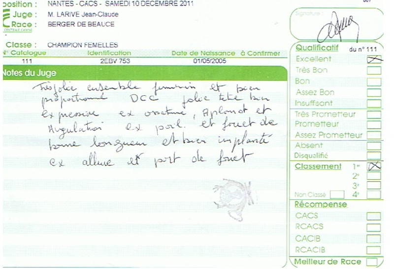 CH. Azur De la noé du jardin - 1ère EXC Classe Champion