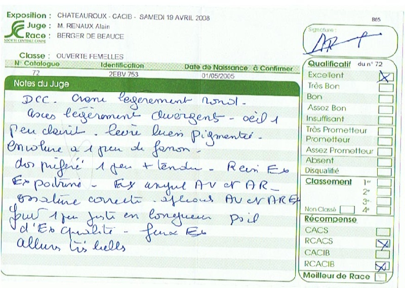 CH. Azur De la noé du jardin - 2EME EXC RCAC RCACIB