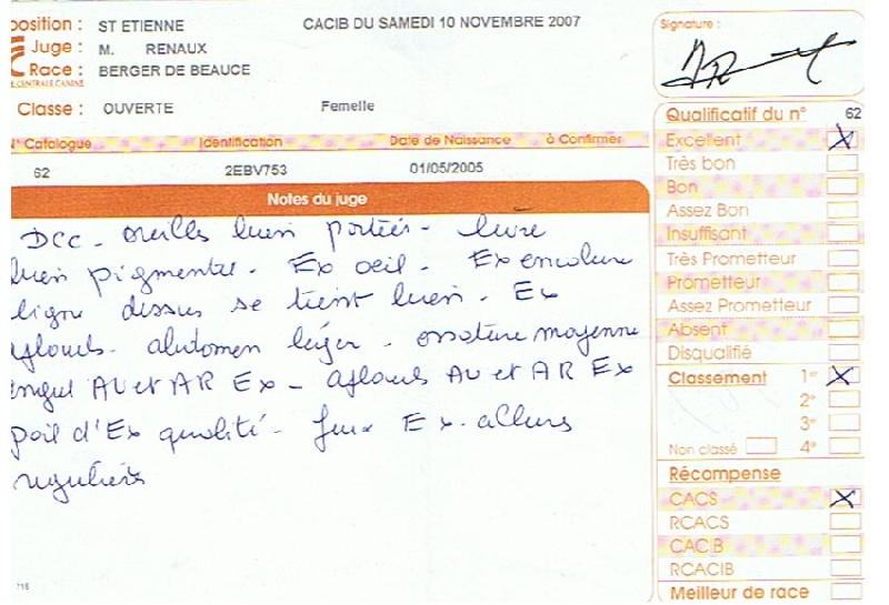 CH. Azur De la noé du jardin - 1 ERE EXC CACS