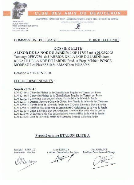 CH. Alixor De la noé du jardin - ELITE A