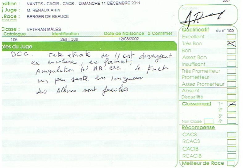 CH. Tam tam blue De la noé du jardin - 1er TB CLASSE VETERAN