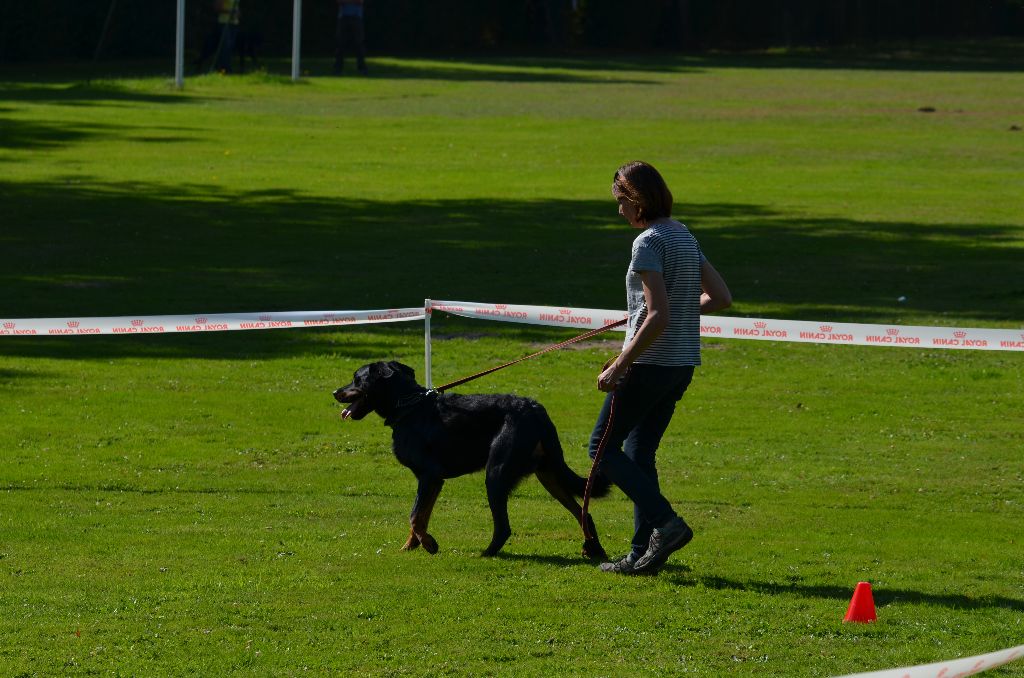 Lee roy De la noé du jardin - EXC