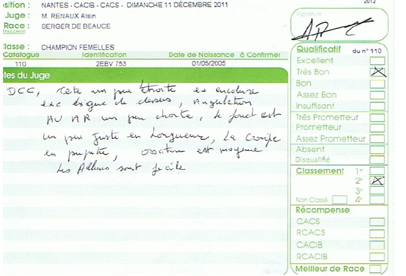 CH. Azur De la noé du jardin - 2e TB