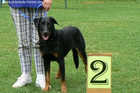 CH. Azur De la noé du jardin - 2EME EXC RCACL