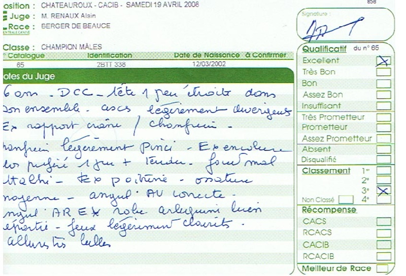 CH. Tam tam blue De la noé du jardin - 3e EXC Cl. CHAMPION