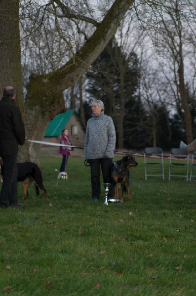 Inook blue De la noé du jardin - 2 ème EXC