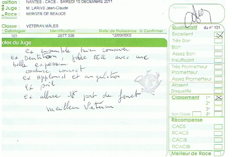 CH. Tam tam blue De la noé du jardin - 1er EXC Classe Vétéran Meilleur Vétéran