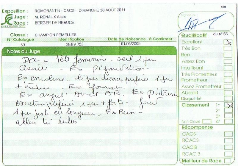 CH. Azur De la noé du jardin - 1ère EXC CLASSE CHAMPION