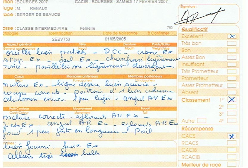 CH. Azur De la noé du jardin - 1ERE EXC CAC Cl.Intermédiaire