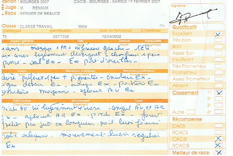 CH. Tam tam blue De la noé du jardin - 1ER EXC CAC CACIB MEILLEUR DE RACE