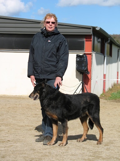 CH. Tam tam blue De la noé du jardin - HORS CONCOURS