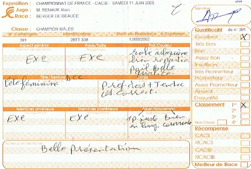 CH. Tam tam blue De la noé du jardin - 1 er EXC Cl. CHAMPION