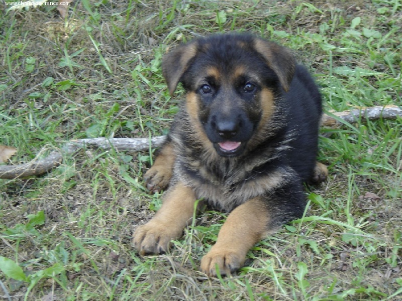 Voodoo des sources du Mejean