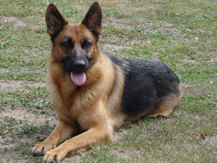 Voodoo des sources du Mejean