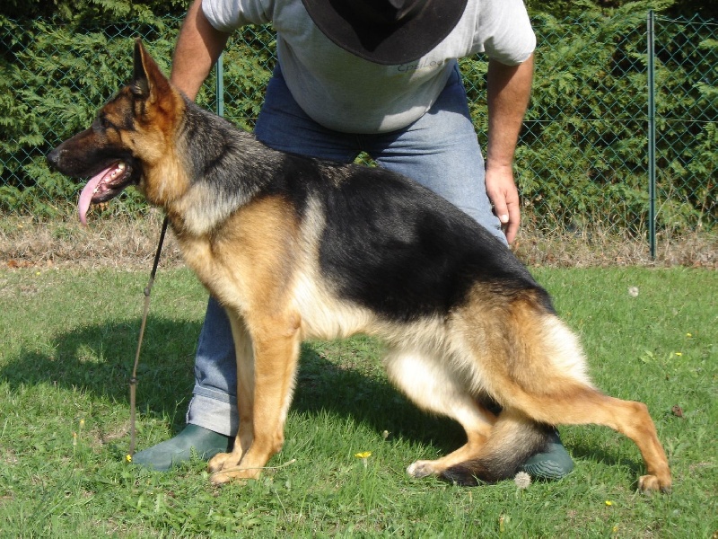 Publication : des sources du Mejean Auteur : BOURDON