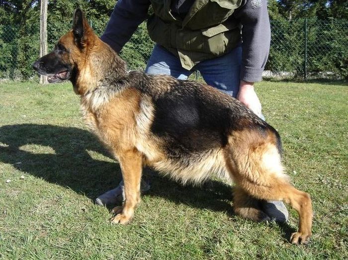 Publication : des sources du Mejean