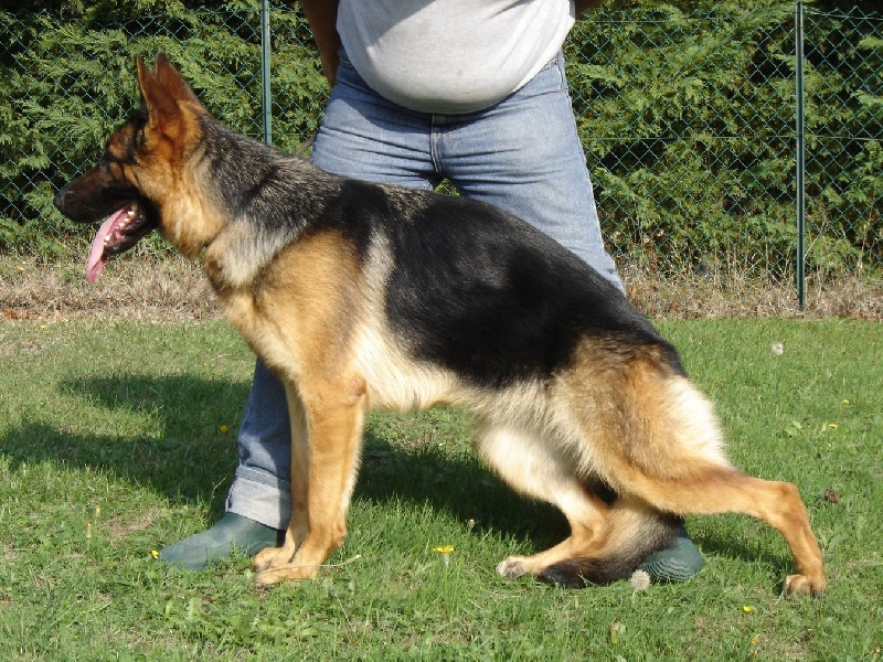 Publication : des sources du Mejean Auteur : BOURDON