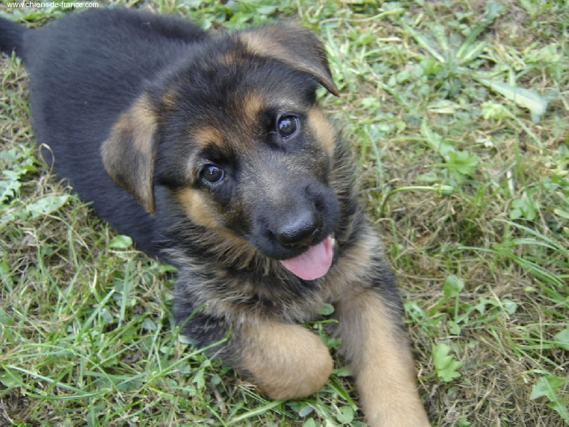 Voodoo des sources du Mejean