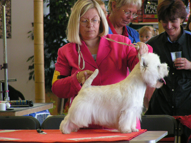 Publication : Delbret's Auteur : Katharina Round