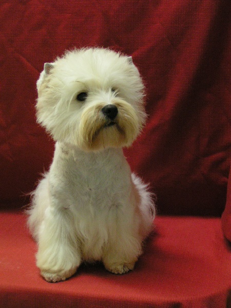 Publication : Delbret's Auteur : Katharina Round