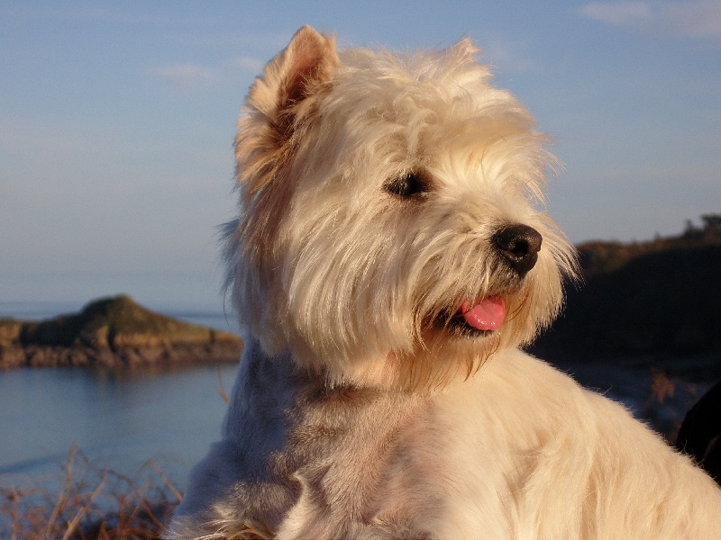 Publication : Delbret's