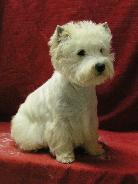 Publication : Delbret's Auteur : Jean-Michel Labat