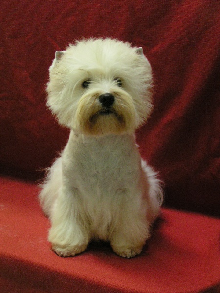 Publication : Delbret's Auteur : Katharina Round