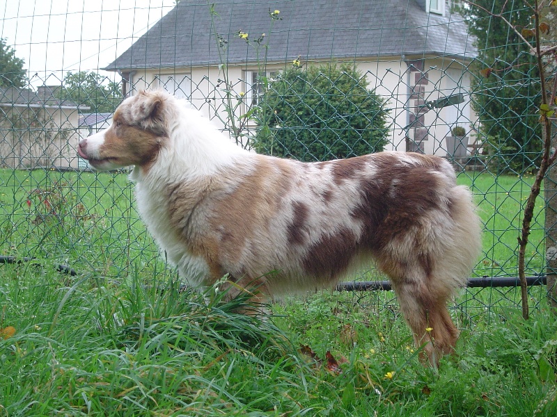 Delbret's Extra red candy dite emy