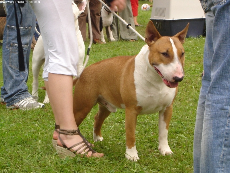 Des terres du doux lieu Aurkan - rcac-rcacib