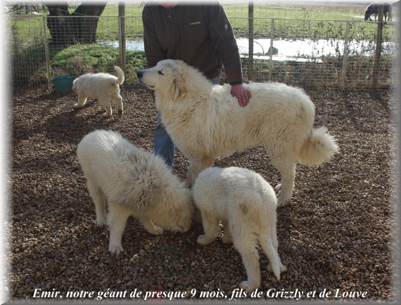 Publication : du Domaine de Peyrac Auteur : Le Domaine de Peyrac