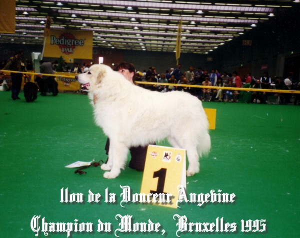 Publication : du Domaine de Peyrac