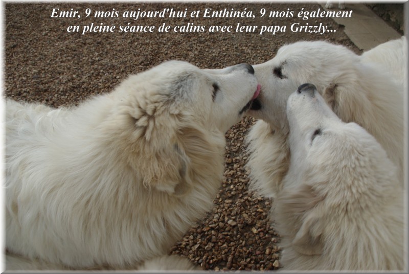 Publication : du Domaine de Peyrac Auteur : Le Domaine de Peyrac