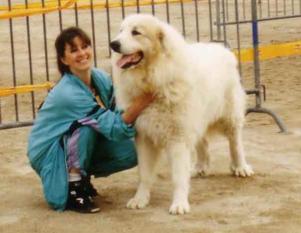 Publication : du Domaine de Peyrac