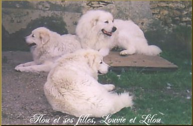 Publication : du Domaine de Peyrac